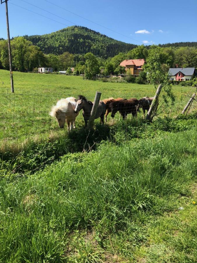 Dom Gorski Do Wynajecia 3 Km Od Karpacza Sudecka 100 Miłków 外观 照片